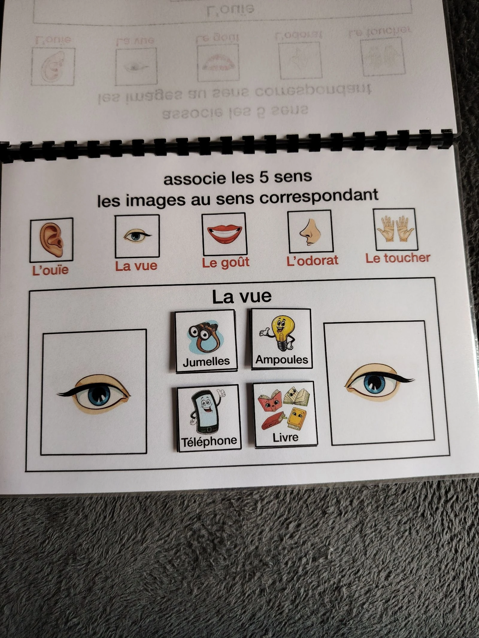 Livro de atividades o corpo humano – photo 4